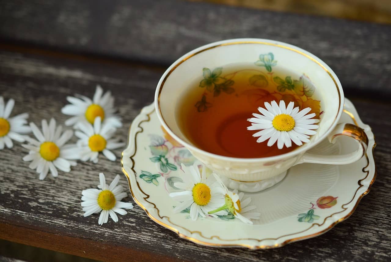 Learn how to choose which herbal tea is suitable for you