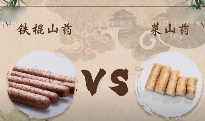 two types of Chinese yam